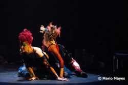Tango Dance Performance Stockholm